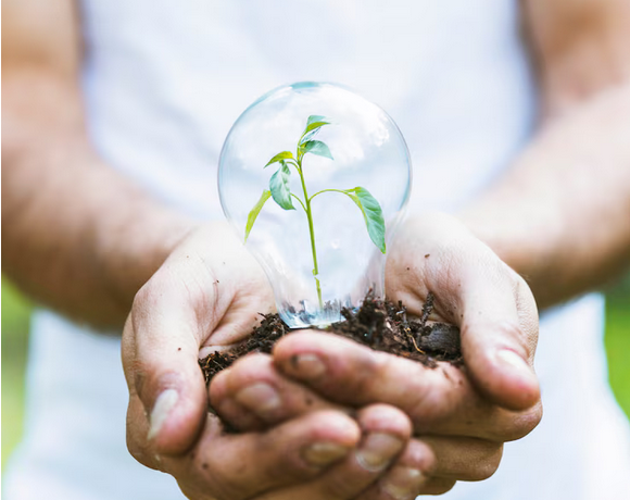 Consultoria Ambiental