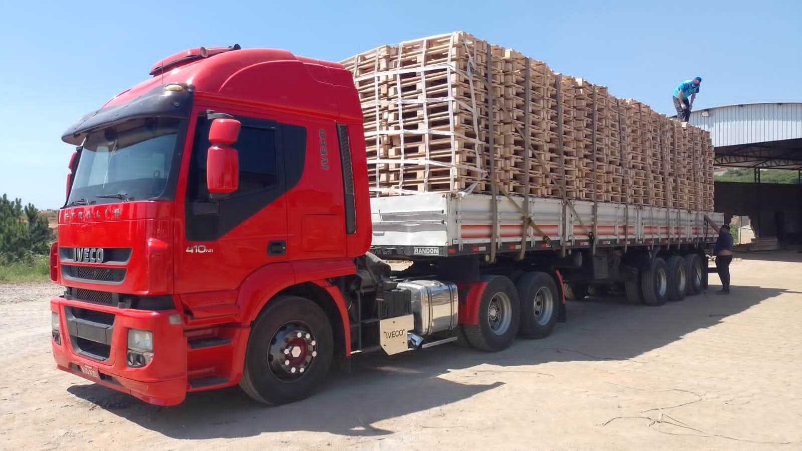 Transporte de madeira
